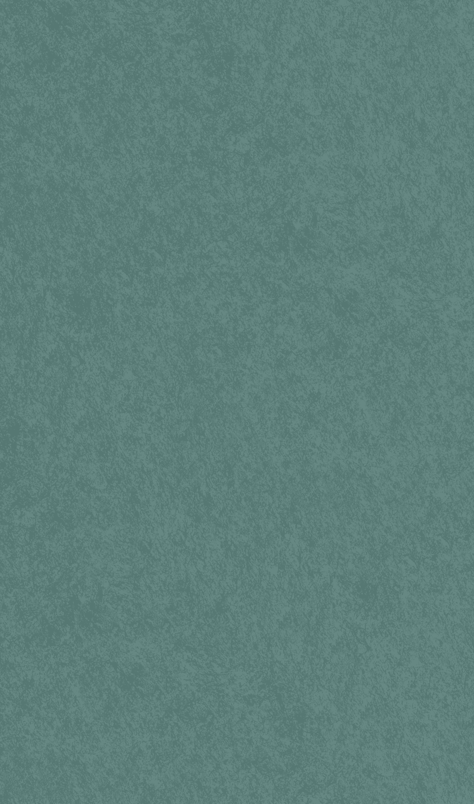 Acoustic Ceiling Tiles – QTY 4 in Fern
