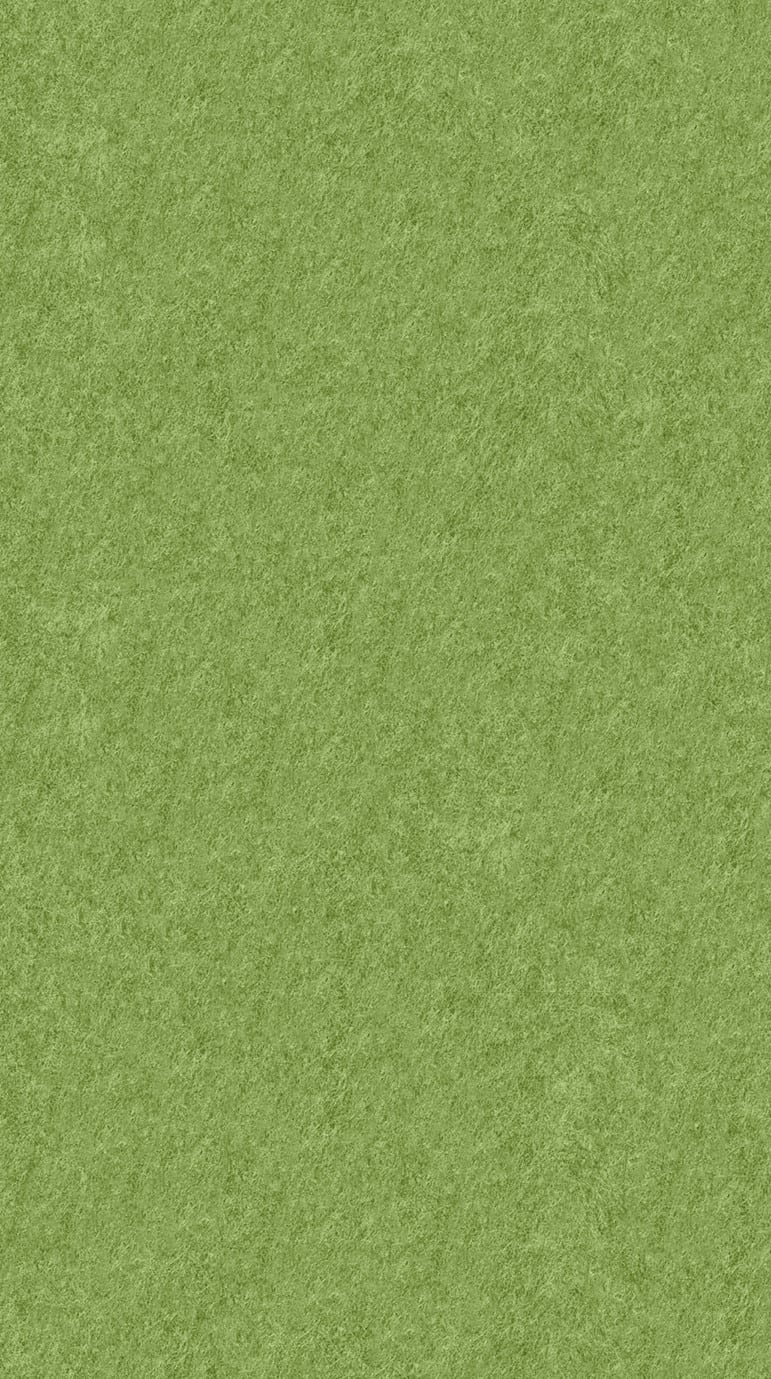 Acoustic Ceiling Tiles – QTY 4 in Lime