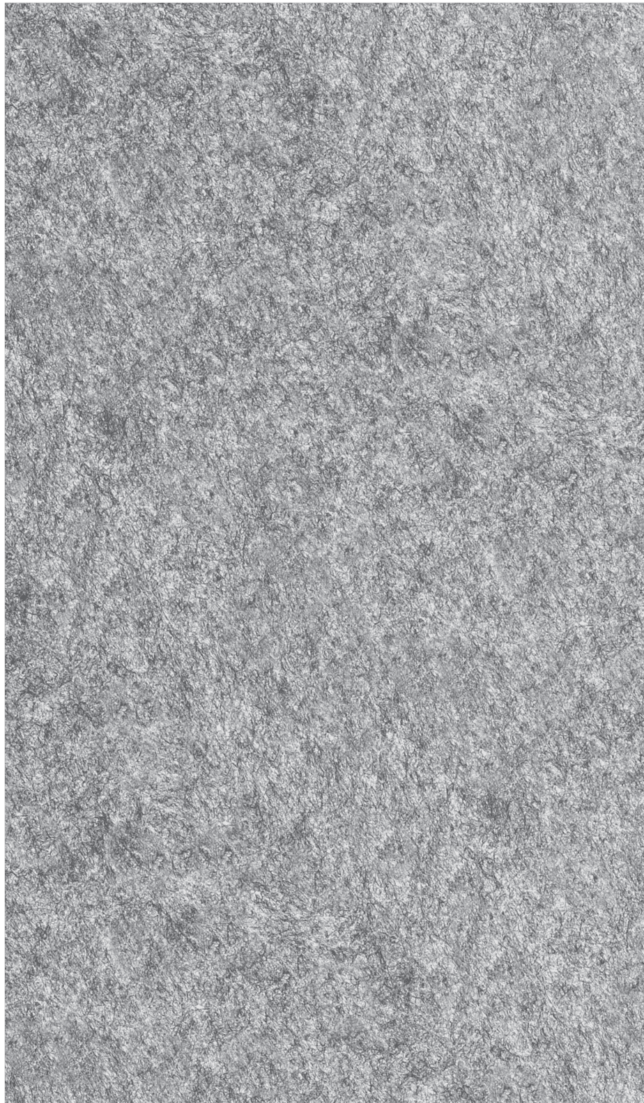 Acoustic Ceiling Tiles – QTY 4 in Stormy